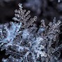 Image result for Coolest Snowflake