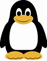 Image result for Penguin Face