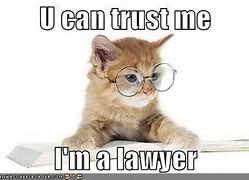 Image result for cats lawyers memes