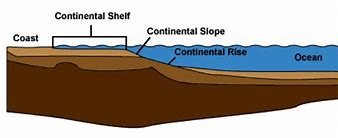 Image result for Continental Shelves Oceanic Features
