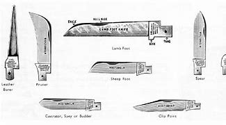 Image result for Pocket Knife Blade Shapes