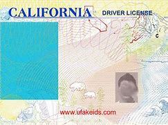 Image result for Blank California ID Template
