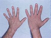 Image result for 7 Inches Compared to Hand