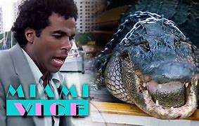 Image result for Miami Vice Crocodile Sail Boat Meme