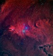 Image result for Fox Fur Nebula Location