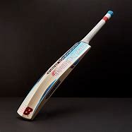 Image result for Blue Cricket Bat