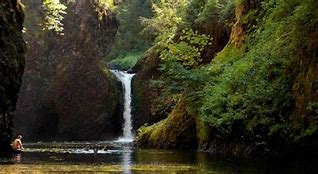 Image result for Punch Bowl Falls Swimming