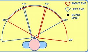 Image result for Optical 180 Degrees