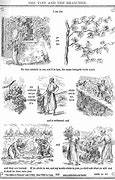 Image result for Christian Vine and Branches Clip Art