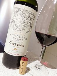 Image result for Catena Argentina Wine