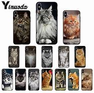 Image result for Maine Coon Cat Phone Holder