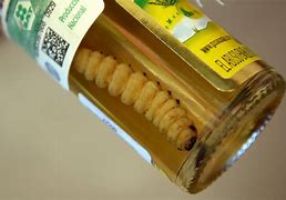 Image result for Tequila Jose Cuervo Worm