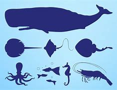 Image result for Marine Life Silhouette