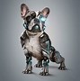 Image result for Cyber Tooth Dog