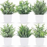 Image result for Small Fake Plants