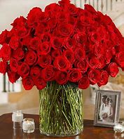 Image result for How Does 100 Roses Look Like