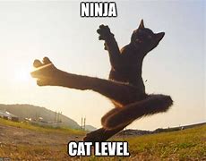 Image result for Invisible Ninja Cat Meme