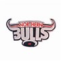 Image result for Miami Bulls Logo