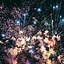 Image result for iPhone Happy New Year Fireworks