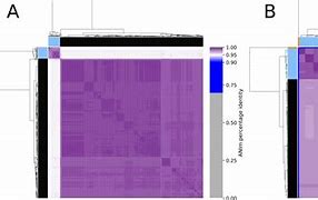 Image result for PCR Bacteria Primer