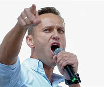Image result for Alexei Navalny Prison