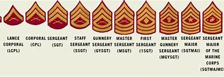Image result for USMC Enlisted Rank Insignia
