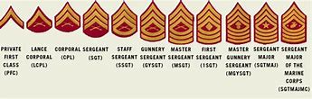 Image result for USMC Rank Structure Chart