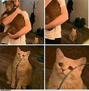 Image result for Guy Holding Cat Meme