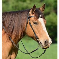 Image result for Western Bridle Wit Bit