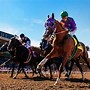 Image result for Arcadia Horse Racing