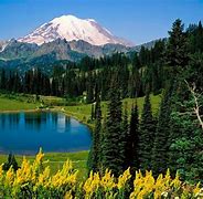 Image result for scenary picture