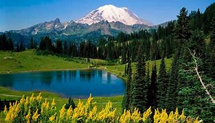 Image result for Free Desktop Backgrounds Scenery