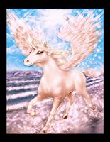 Image result for Winged Unicorn