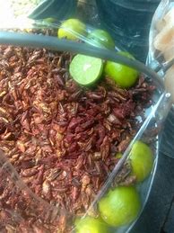 Image result for Deep Fried Crickets