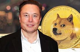 Image result for Elon Musk Dogecoin