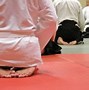Image result for Aikido Sport