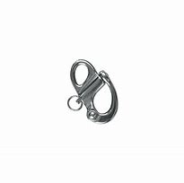 Image result for Stainless Steel Carabiners with Eye
