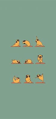 Image result for Funny iPhone 5 Wallpapers