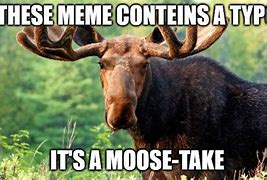 Image result for Funny Moose Memes