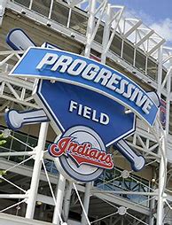 Image result for Progressive Field Field Access