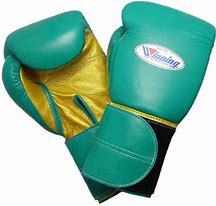 Image result for MMA Boxing Gloves