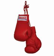Image result for Free Boxing Gloves JPEG
