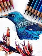 Image result for Awesome Pencil Art Colored