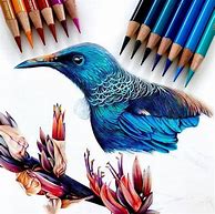 Image result for Pencil Drawings to Draw