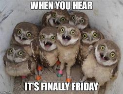Image result for Friday Owl Meme