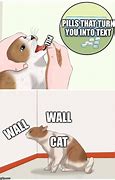 Image result for Cat Pill Meme