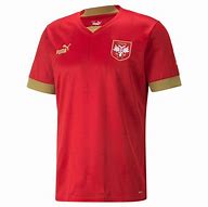 Image result for Serbia Volleyball Jersey