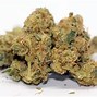 Image result for Difference Between Sativa/Indica