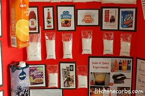 Image result for Sugar Science Fair Projects