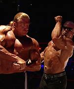 Image result for Triple H Biceps